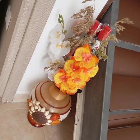 Hébergement de vacances Casa Nicotera